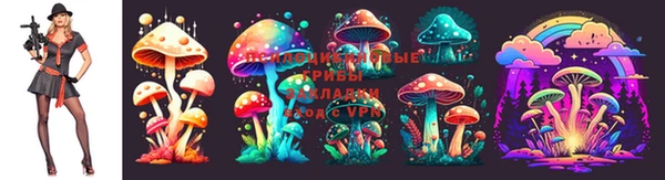 кокаин премиум Алексеевка