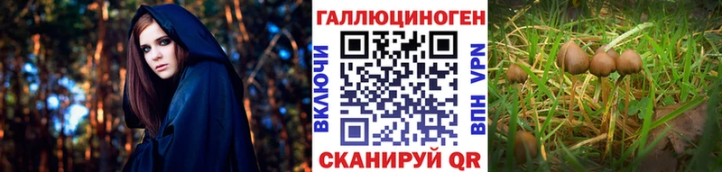Галлюциногенные грибы MAGIC MUSHROOMS  Щигры 